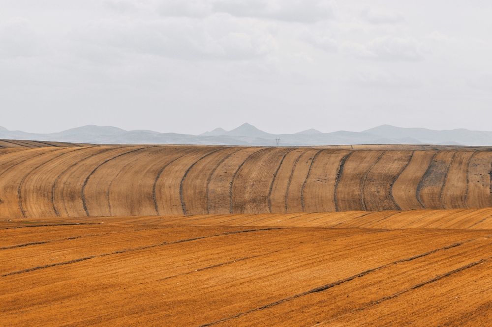 Photograph by Keyvan Hosine pour