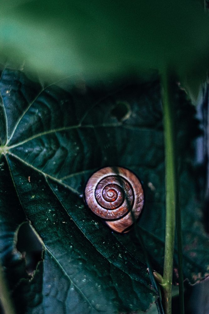 Photograph by Юлия Белозёрова