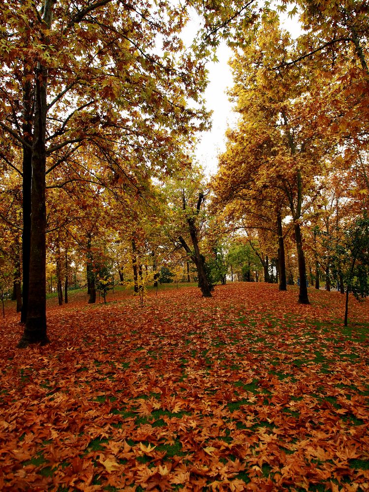 Photograph by Abdolreza Aleagha