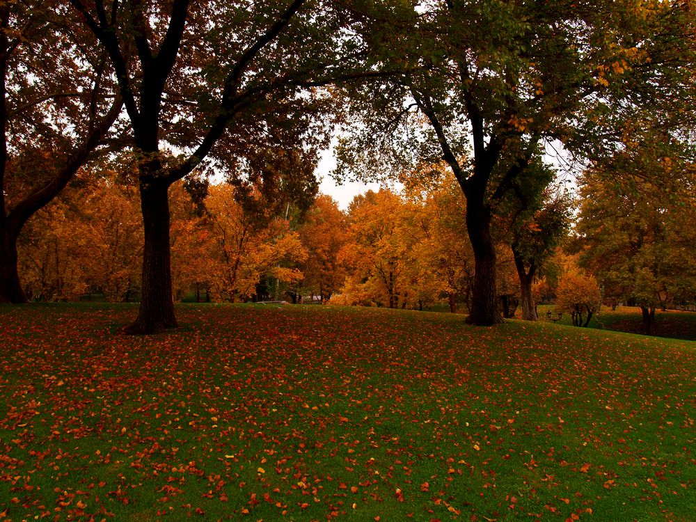 Photograph by Abdolreza Aleagha