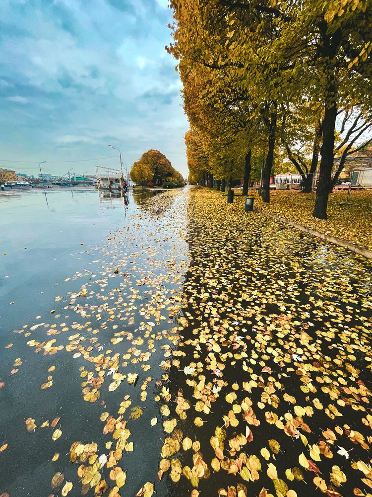 Photograph by Гурский Денис