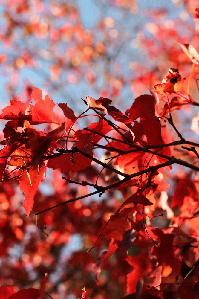 Photograph by Кристина