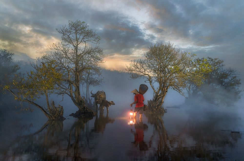 Sunrise over the mangroves