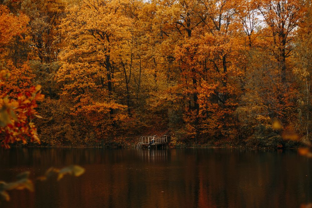 Photograph by Татьяна