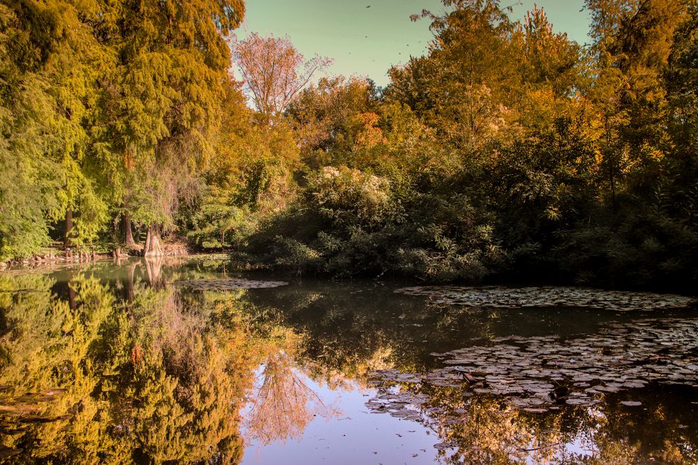 Photograph by Оксана Сафина