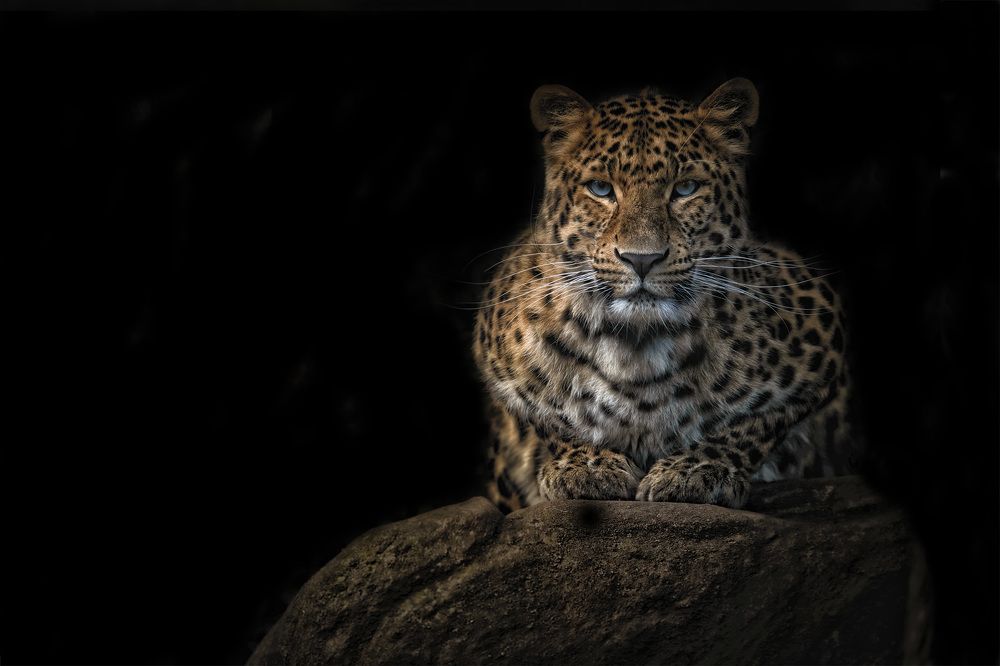 Photograph by Jirka Niš