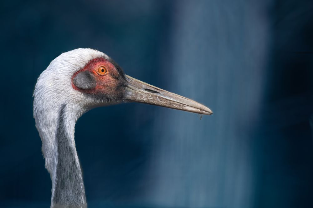 Photograph by Jirka Niš