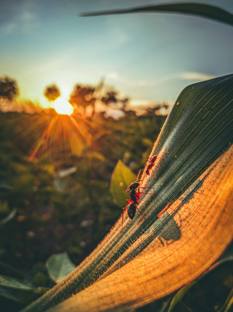 Photograph by Premkumar Karwar