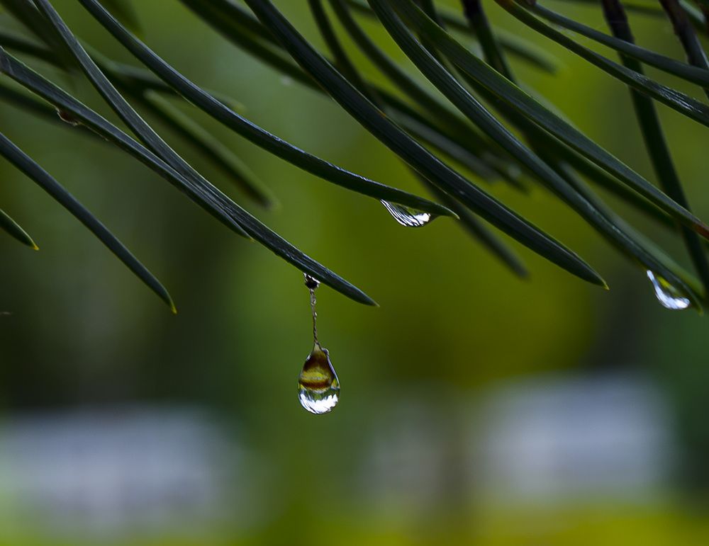 Photograph by Блохина Ольга