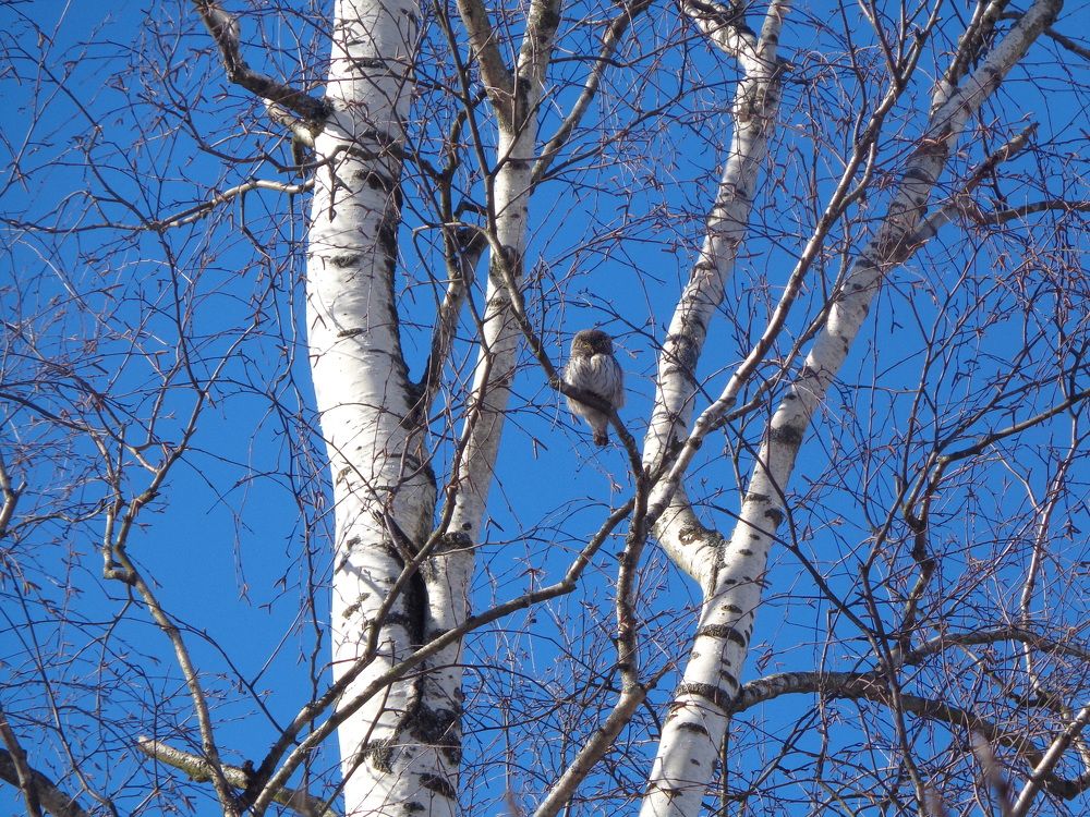 Photograph by Георгий Салюков