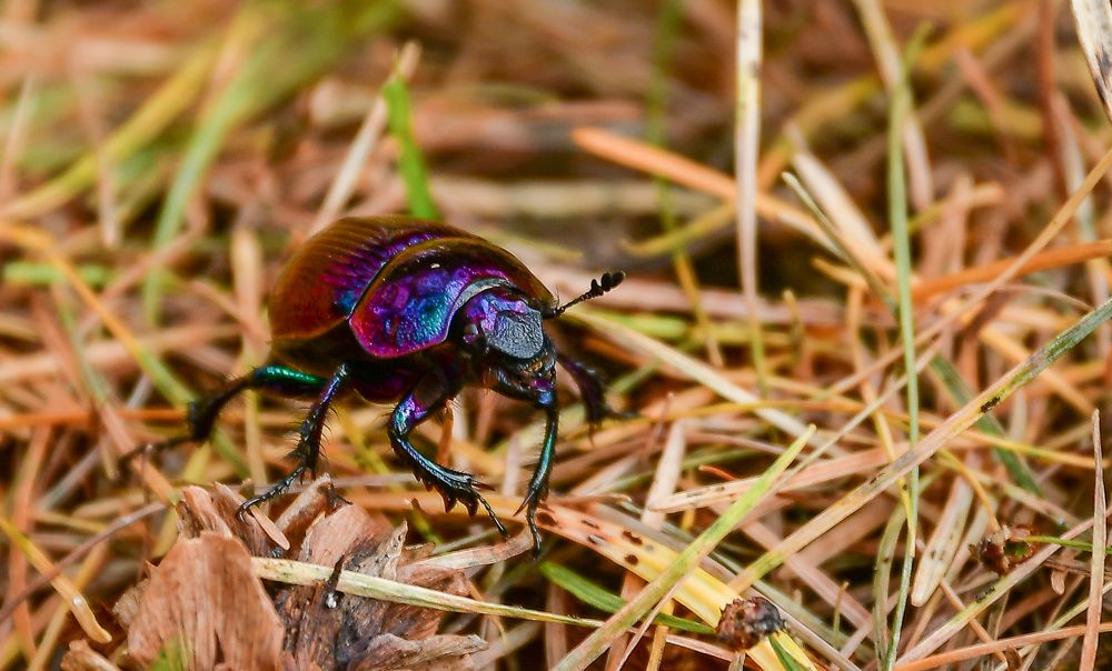 Photograph by Олег Волков