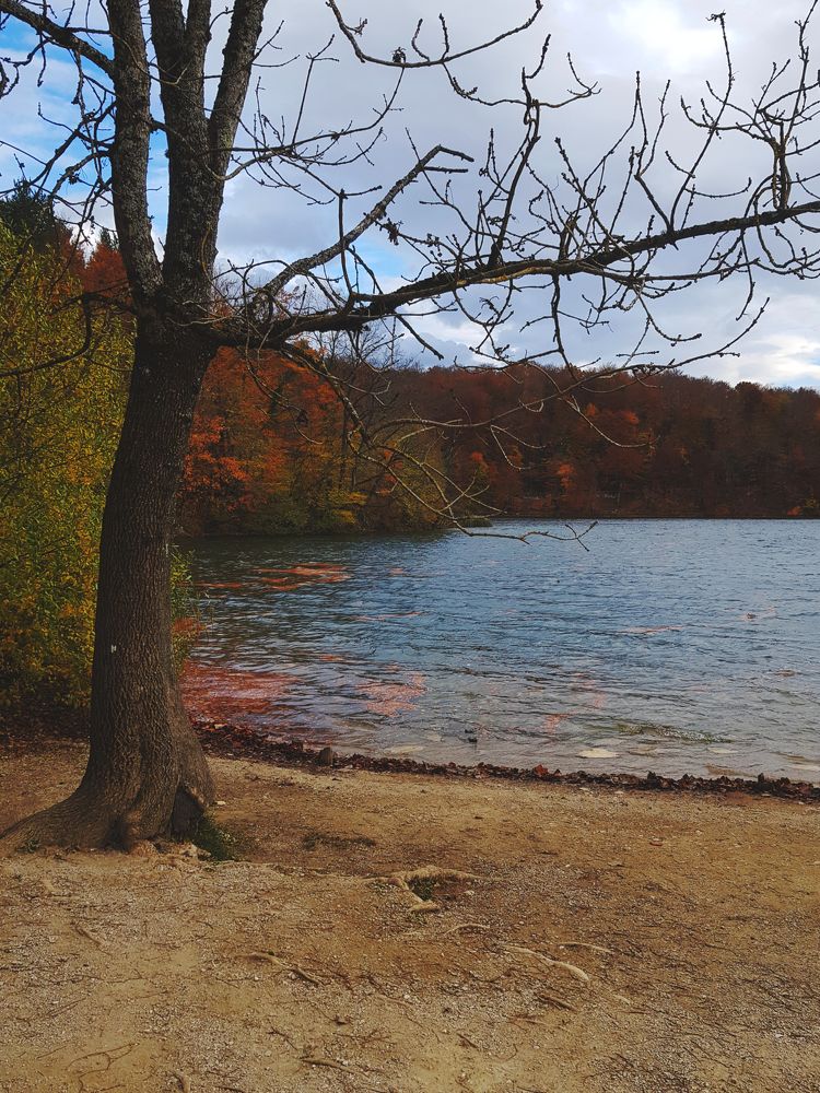 Photograph by Анастасия Немова