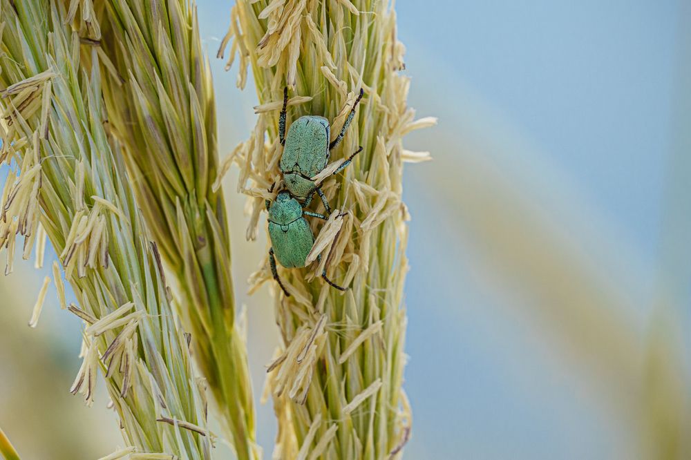 Photograph by Valdis Serzhans