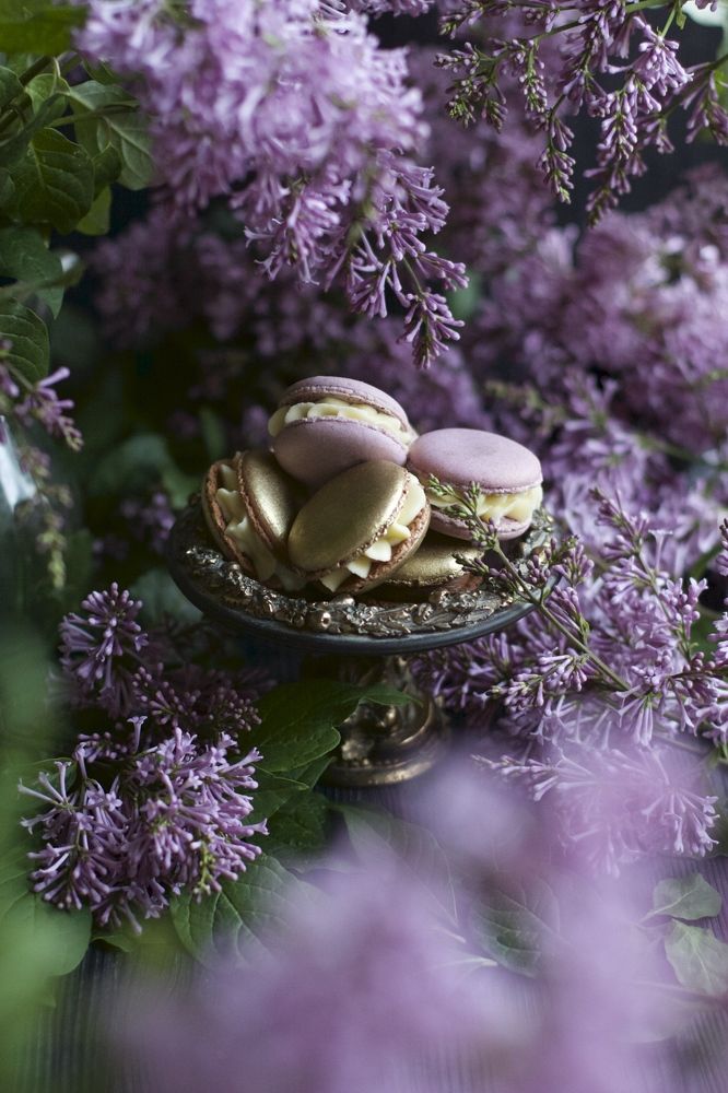 Photograph by Елена Новикова