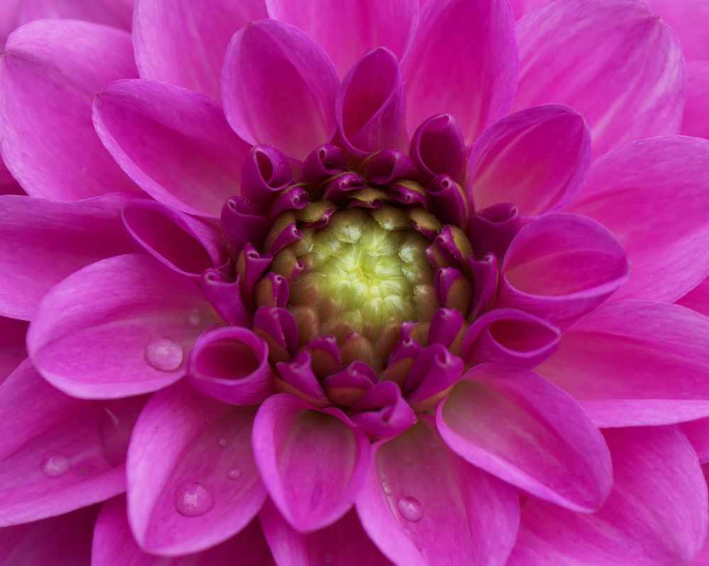 Photograph by Серегина Ирина