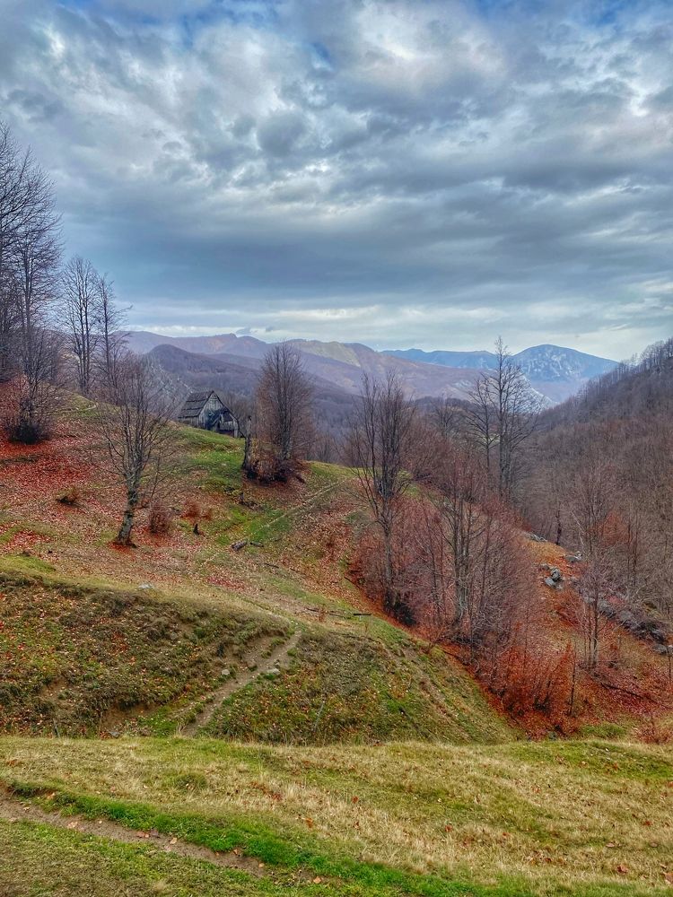 Photograph by Livia Xhaferri