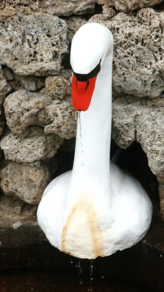 Photograph by Irina Mihailovskaya