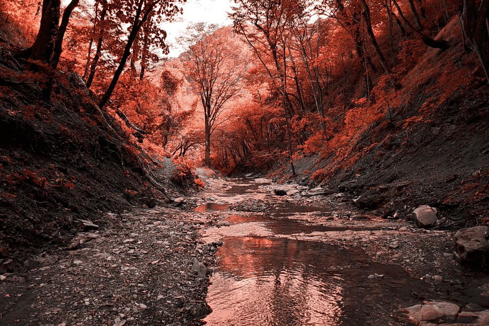 Photograph by Константин Мишнаевский