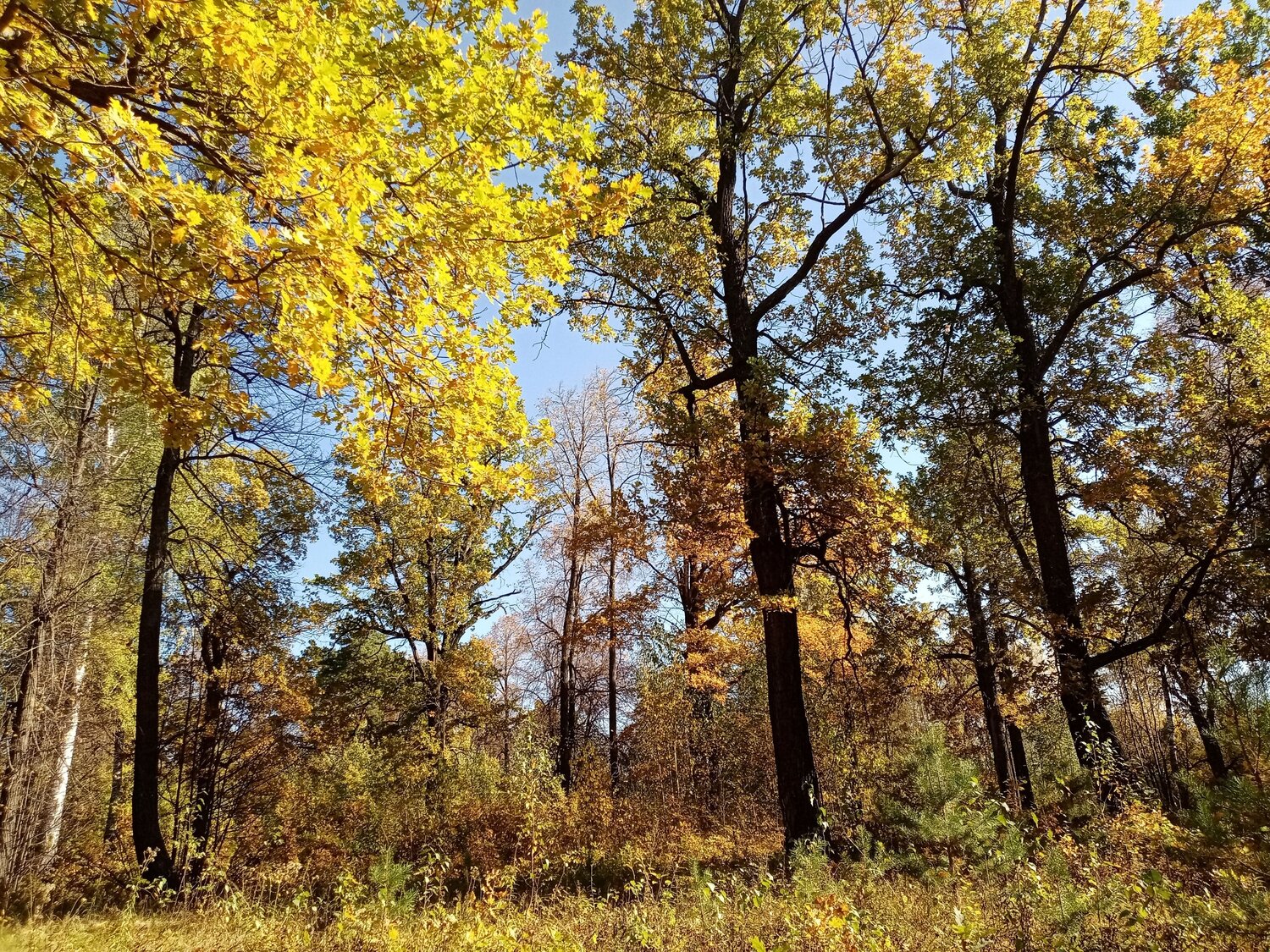Photo #8142405