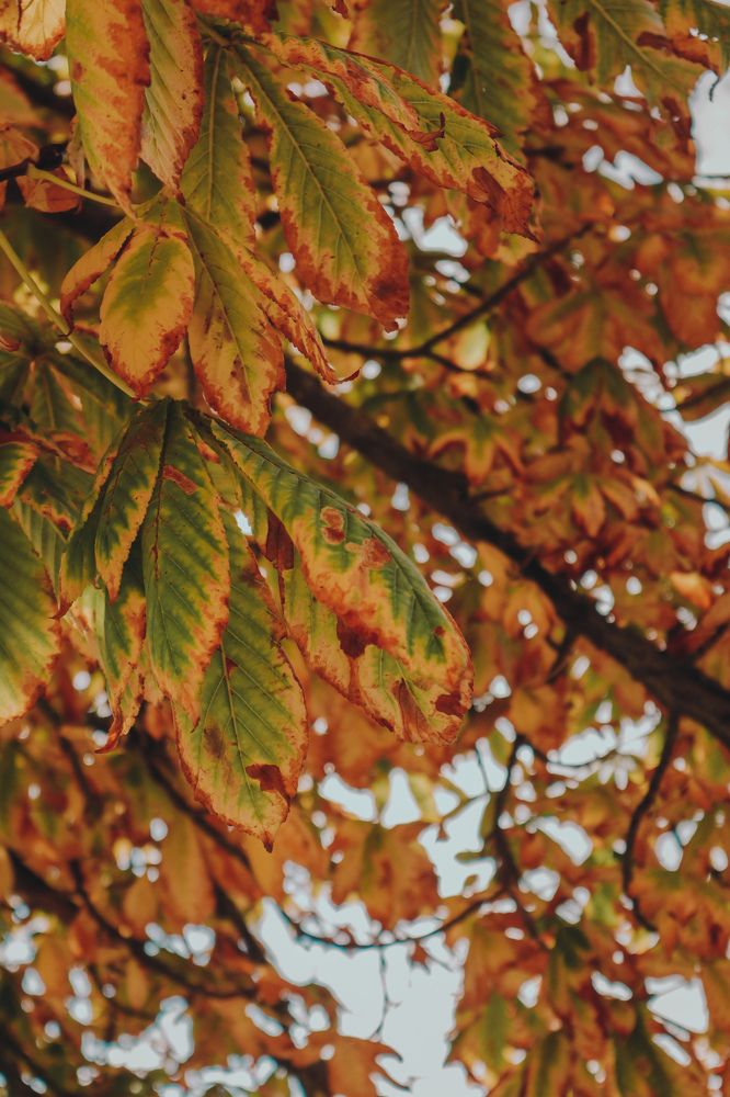 Photograph by Павел Арсенович