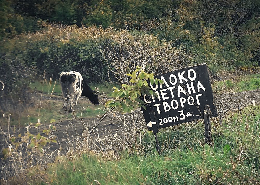 Photograph by Стариков Алексей