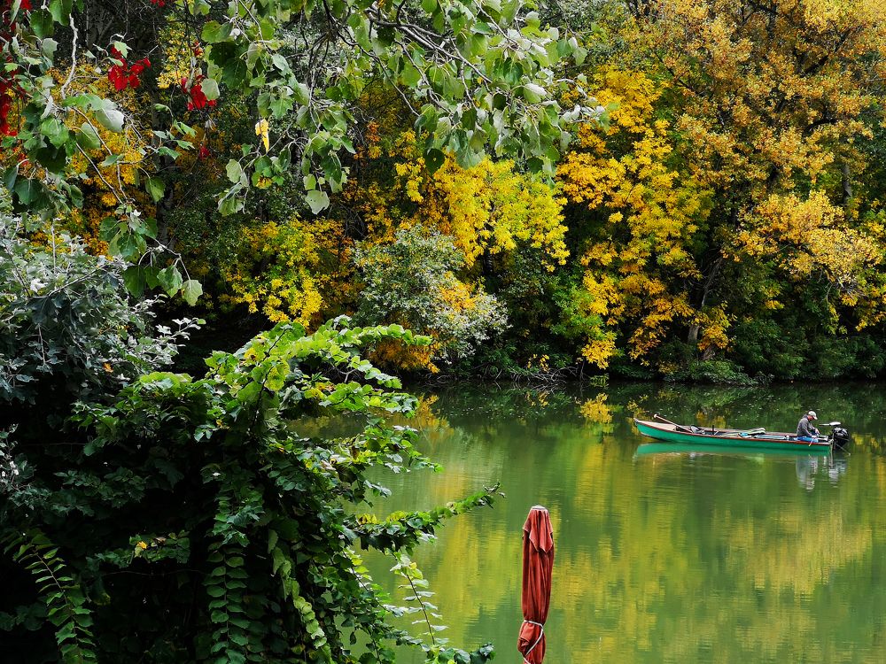 Photograph by Marina Razheva