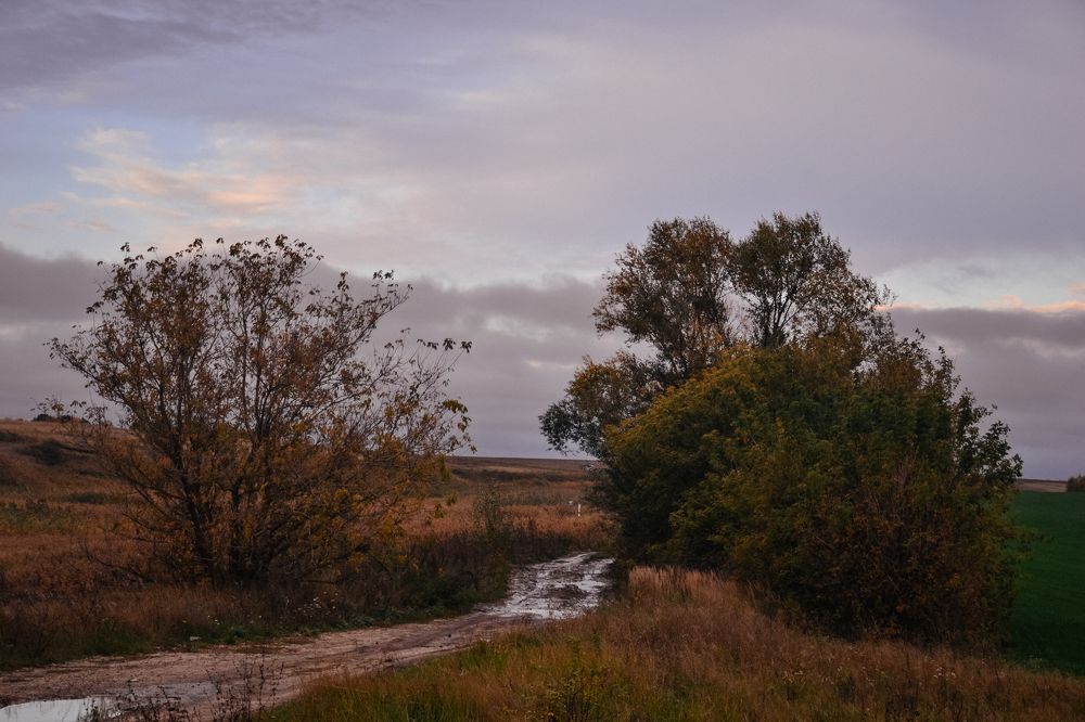 Photograph by Марина Магадиева