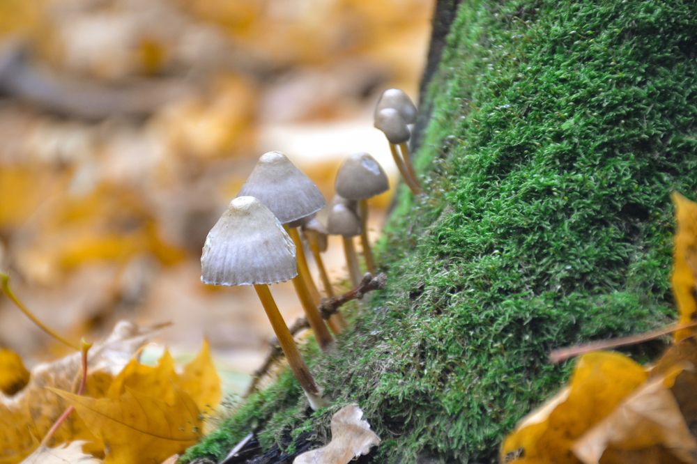 Photograph by Марина Магадиева