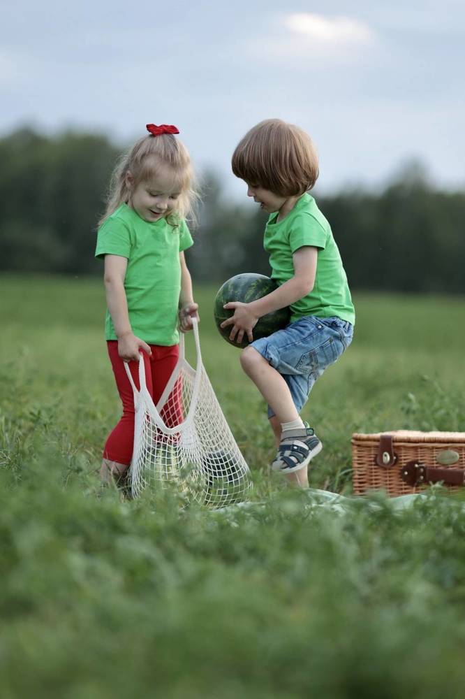 Арбузное настроения