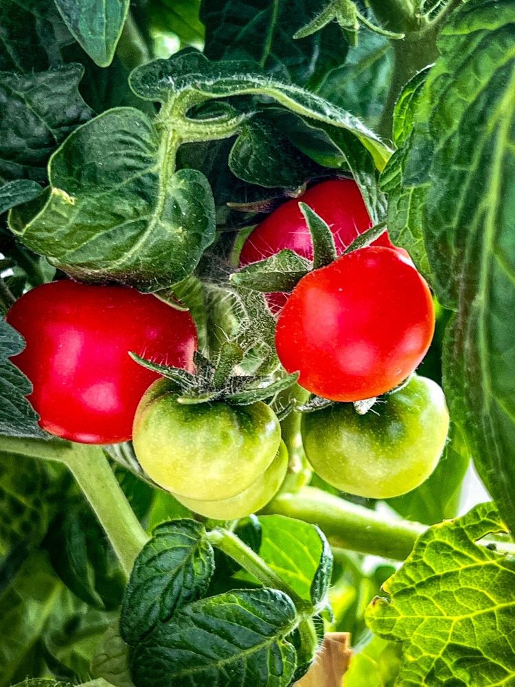 Photograph by Марина Нагичева