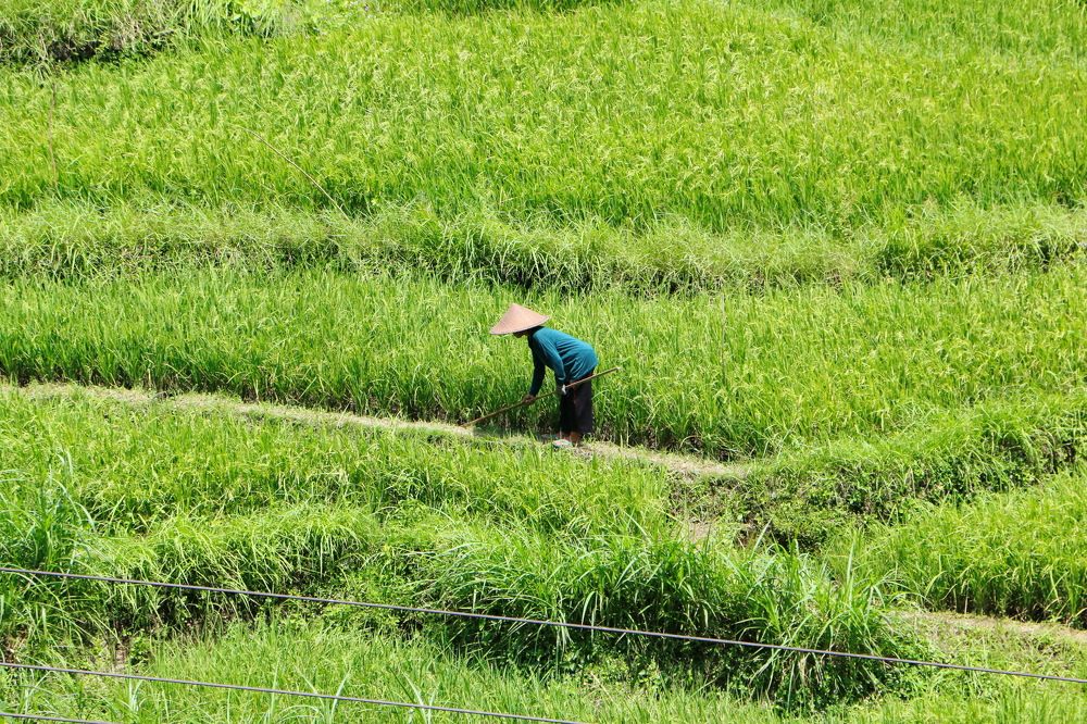 Photograph by Tatiana Serova