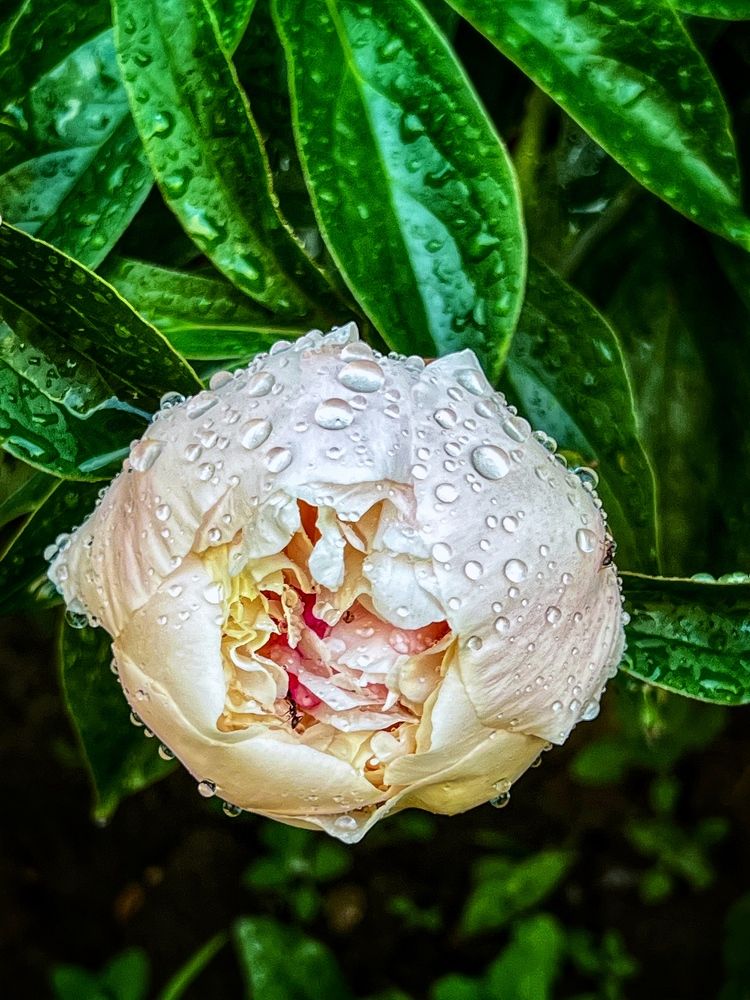 Photograph by Марина Нагичева