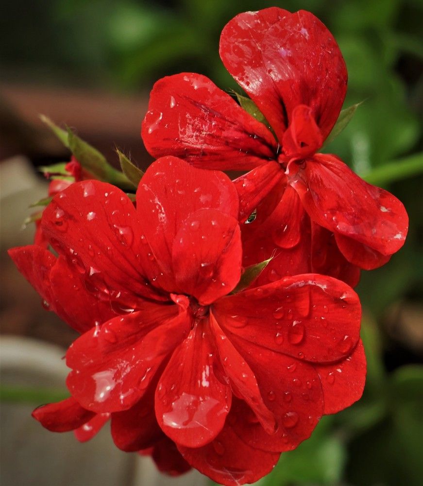 Photograph by Людмила Бутова