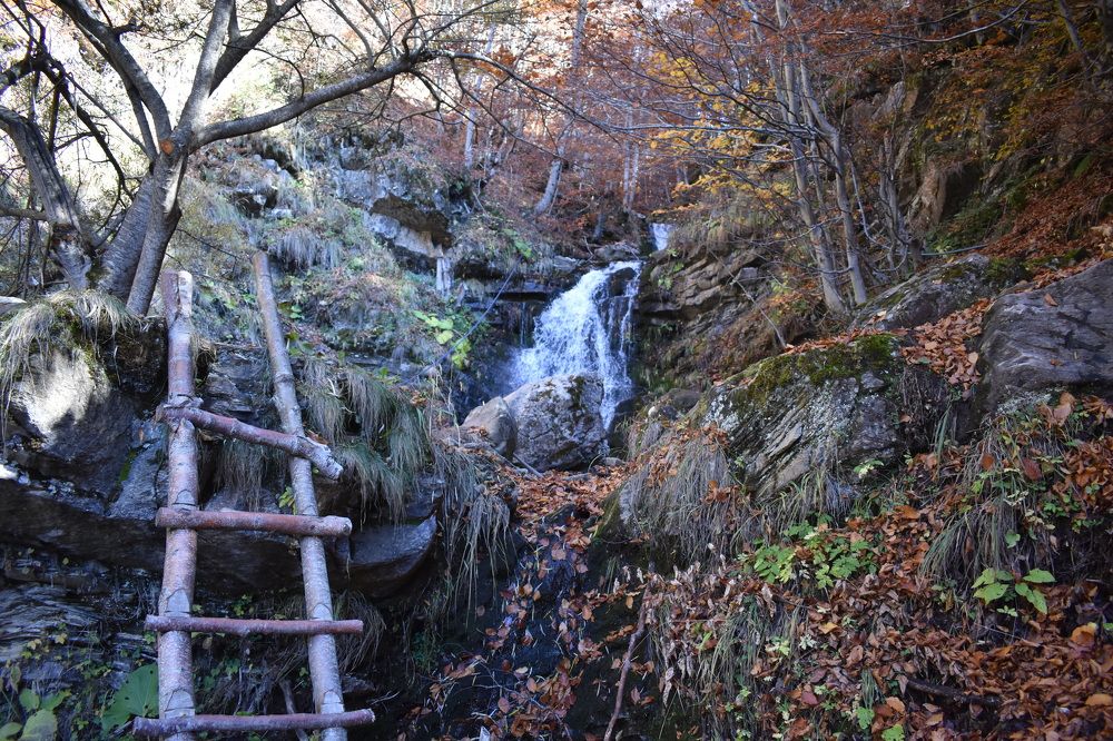 Photograph by Livia Xhaferri