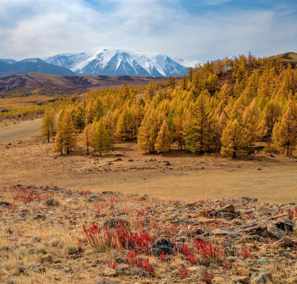 Photograph by Леонтьев Константин