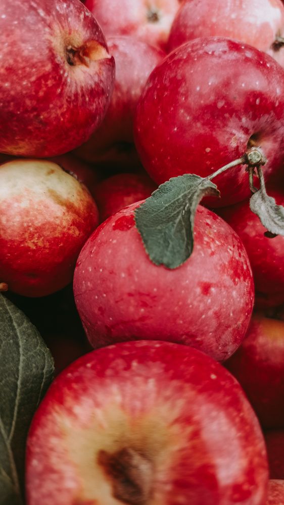 Photograph by Валентина Ильиных