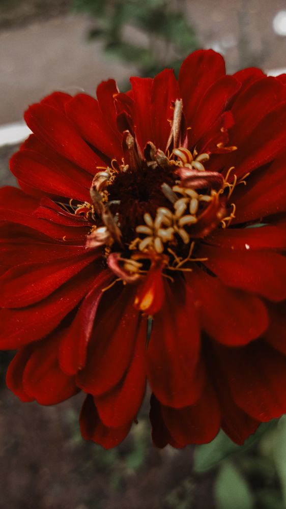 Photograph by Валентина Ильиных