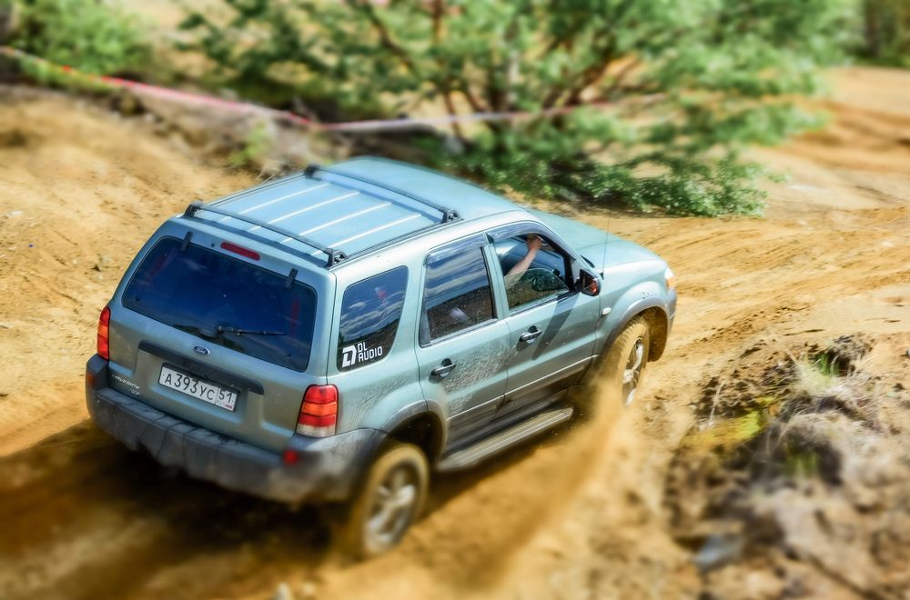 ?Кубок Шмеля