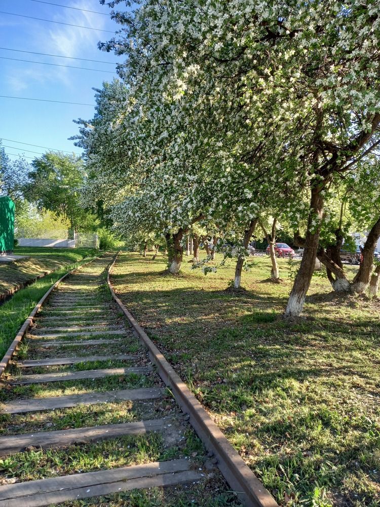 Photograph by Екатерина Хозяшева