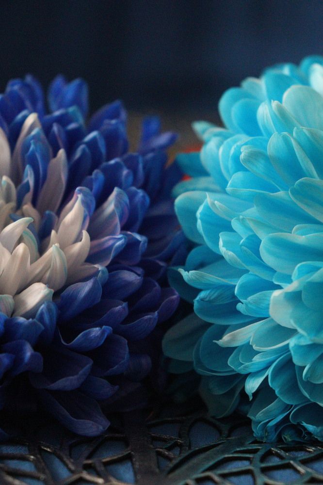 Photograph by Марина Тимонова