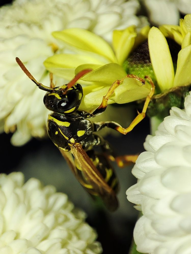 Photograph by Елена Горева