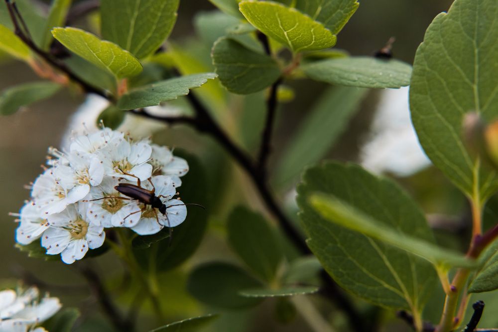 Photograph by Мария Федорова