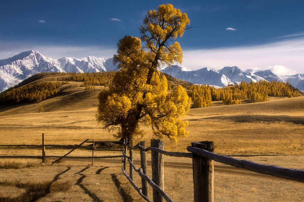 Photograph by Юрий Столыпин