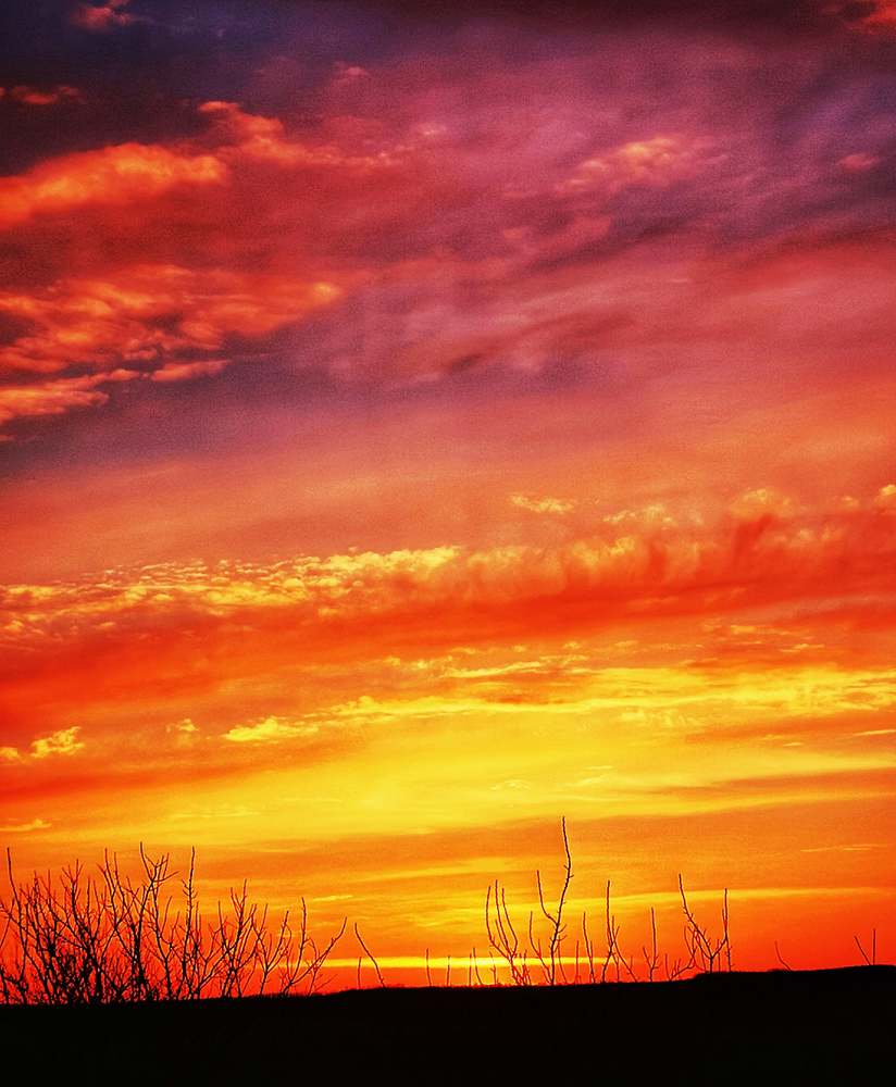 Photograph by Nikolett Mengyi