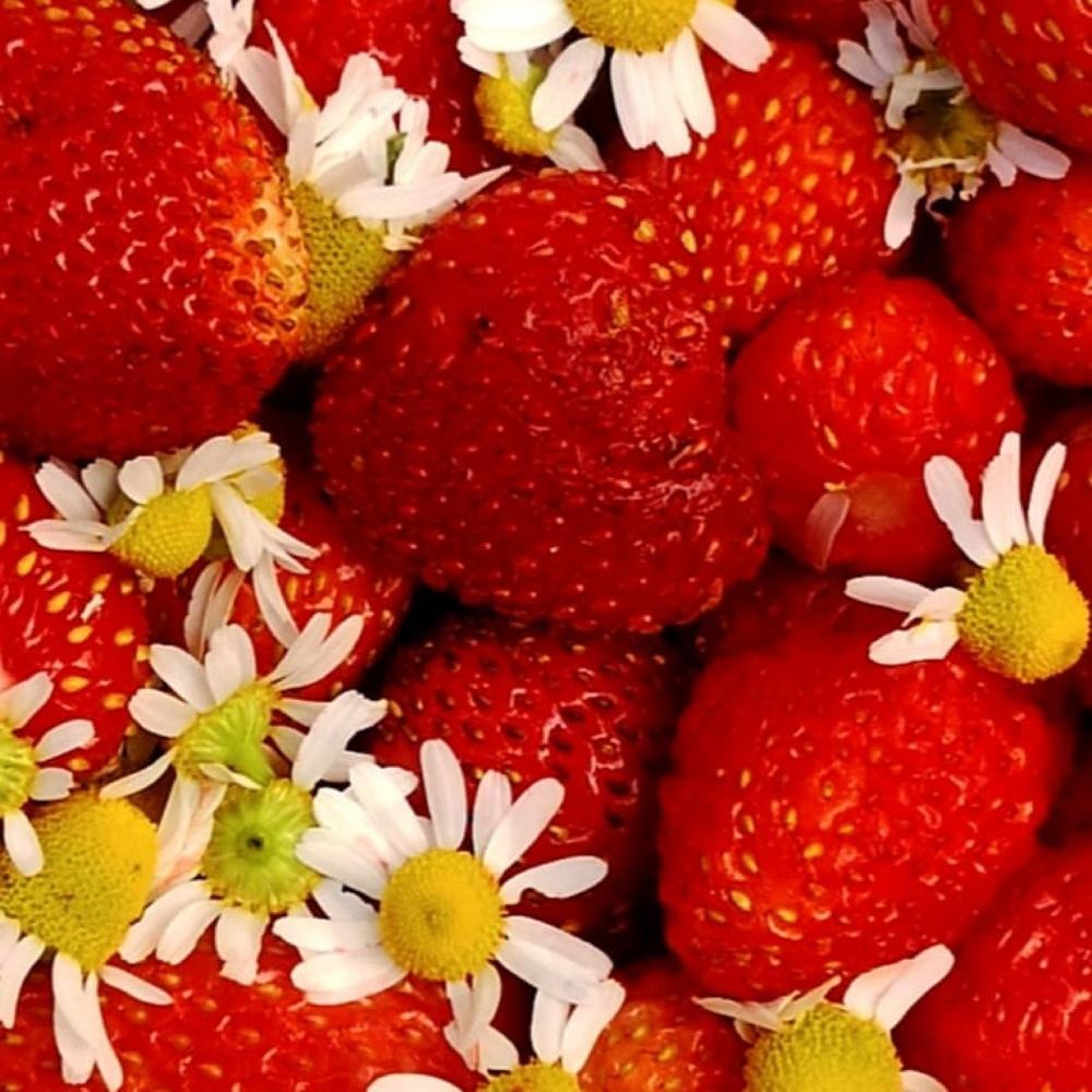 Photograph by Nikolett Mengyi