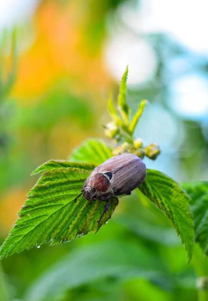 Photograph by Ирина Никульча