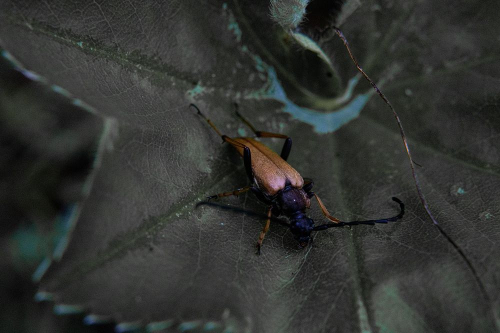 Photograph by Мария Федорова