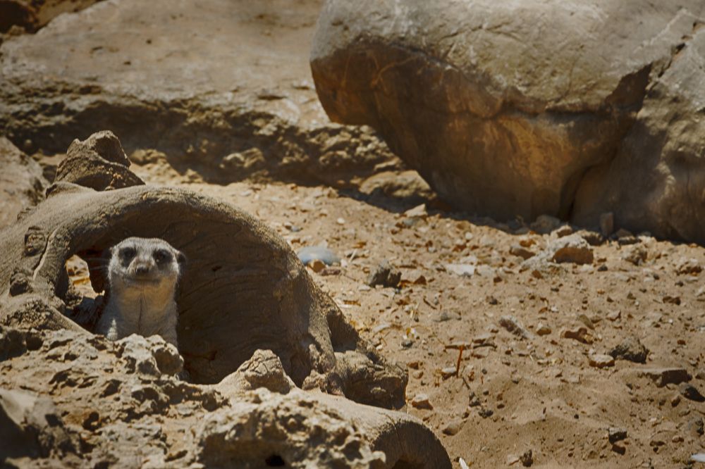 Photograph by Людмила Бутова