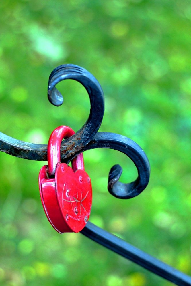 Photograph by Елена Кузнецова