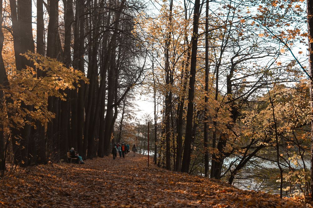 Photograph by Роман